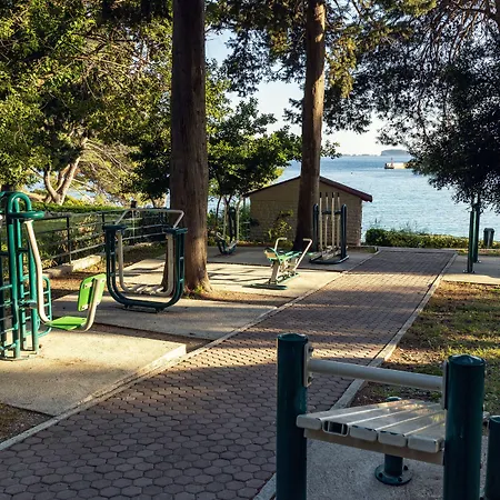 Maistra Select Premium * Srebreno