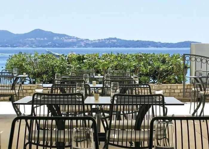 Maistra Select Premium * Srebreno